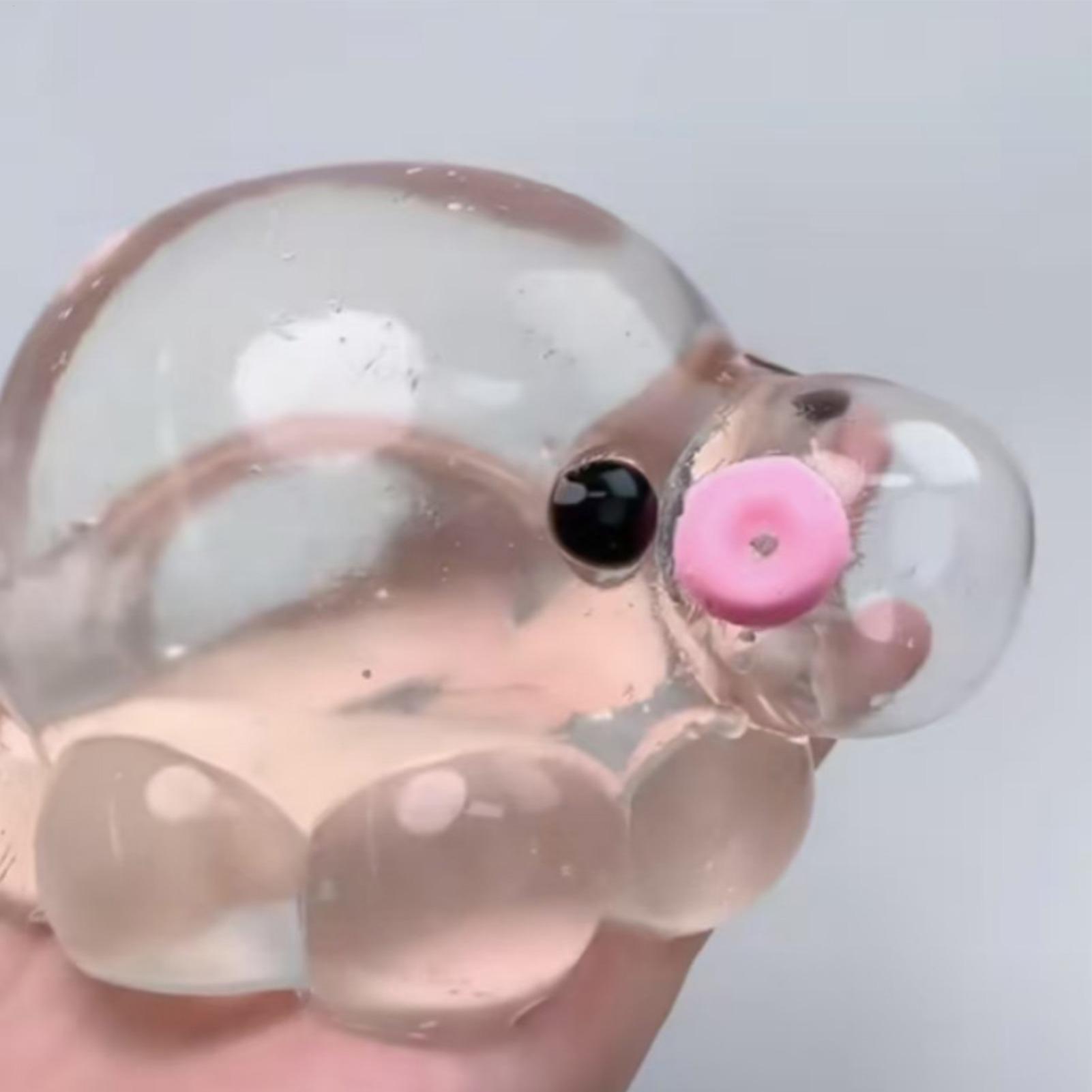 6cm Squishy Bubble Pop Fidget  - مراجعة Party Games Adults Funny وسعره